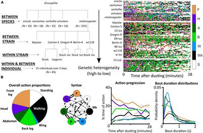 Variation and Variability in Drosophila <mark class="highlighted">Grooming</mark> Behavior